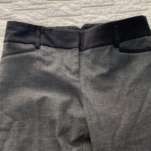 Dress pant